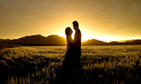 【美文】結婚的意義/幾米——龍口網