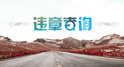 龍口市交通違章查詢