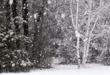 -9℃！龍口來雪了！高速已封、公交、航運都停了！入冬以來最寒冷天氣即將到來！！——龍口網