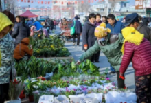 今天，龍口諸由大集正式搬遷！——龍口網(wǎng)