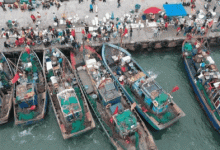 價格降了！龍口海鮮捕撈量增了！趕緊吃起來——龍口網