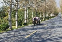 助力鄉(xiāng)村振興！龍口蘭高鎮(zhèn)的這條農(nóng)村公路修好啦！——龍口網(wǎng)